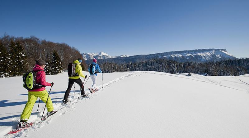 Les Chalets De Ludran Viuz-en-Sallaz Exteriör bild