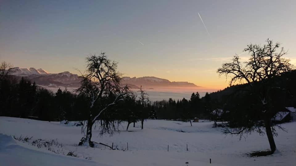 Les Chalets De Ludran Viuz-en-Sallaz Exteriör bild