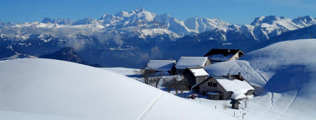 Les Chalets De Ludran Viuz-en-Sallaz Exteriör bild